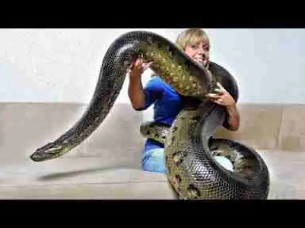 Video: Exotic Creatures that Became Invasive Species 4l